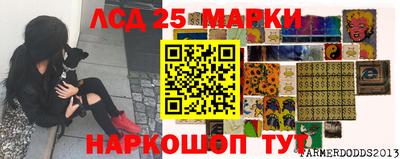 марки nbome Новозыбков