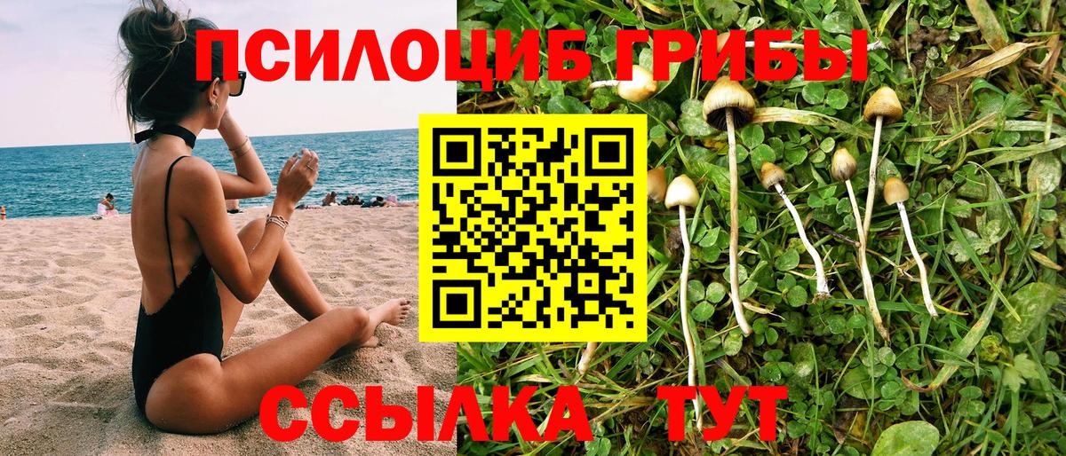Псилоцибиновые грибы прущие грибы Новокуйбышевск