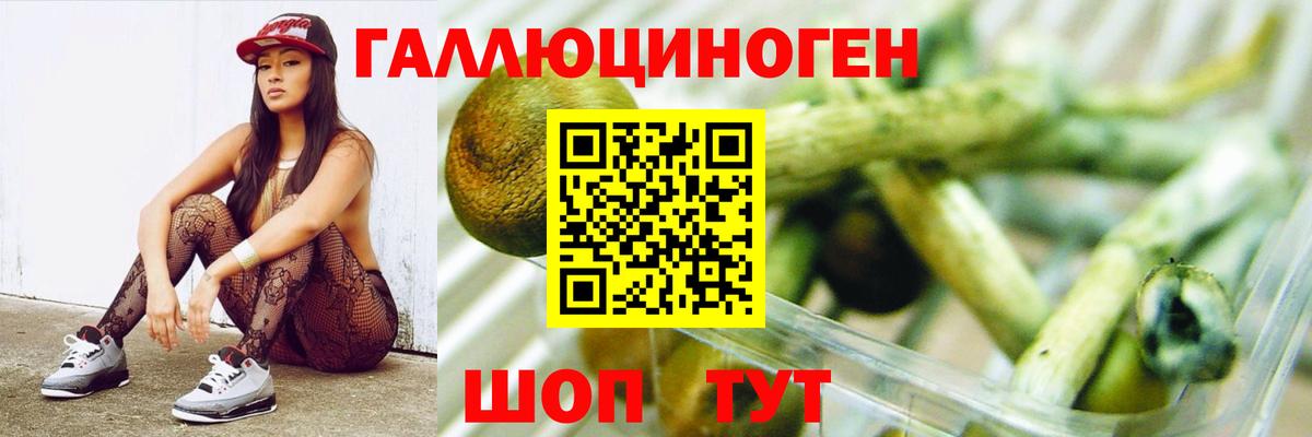 Псилоцибиновые грибы ЛСД  Вход с VPN  Новокуйбышевск 